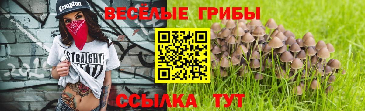 Галлюциногенные грибы прущие грибы Энгельс