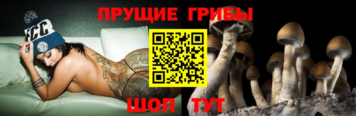 Энгельс  Галлюциногенные грибы мухоморы  дарнет шоп  Вход с VPN 